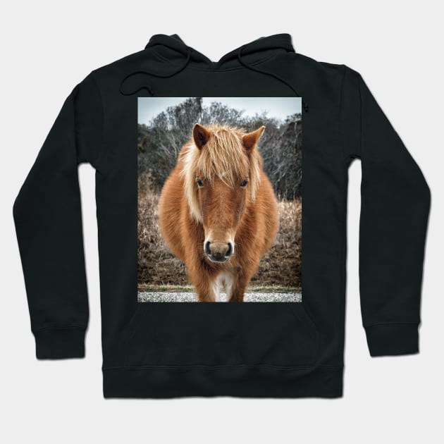 Assateague Island Horse Mieke’s Noe’lani Hoodie by Swartwout